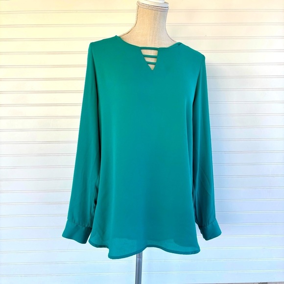 Apt 9 Chiffon long sleeved dressy blouse Size L - Picture 1 of 8
